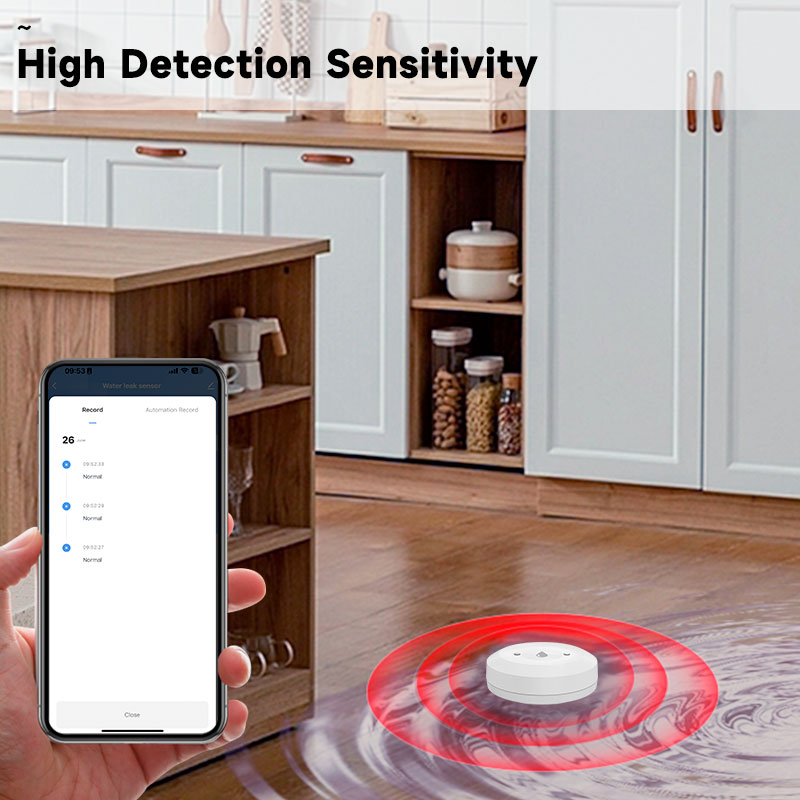 Tuya Zigbee2mqtt Water Immersi - Water Alarm Sensor บทวิจารณ์และราคา